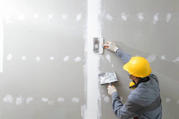 Best Airborne Mold Testing  in Erie, KS