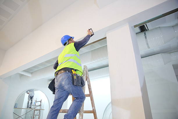 Best Water Damage & Mold Remediation  in Erie, KS